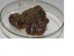 东方DF100钢丝绳润滑脂图1