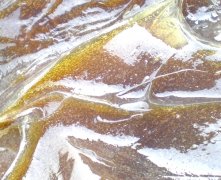 起重机专用润滑脂
