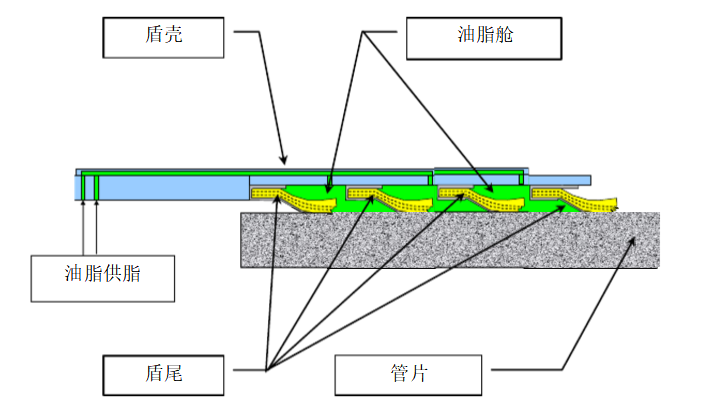 盾尾油脂